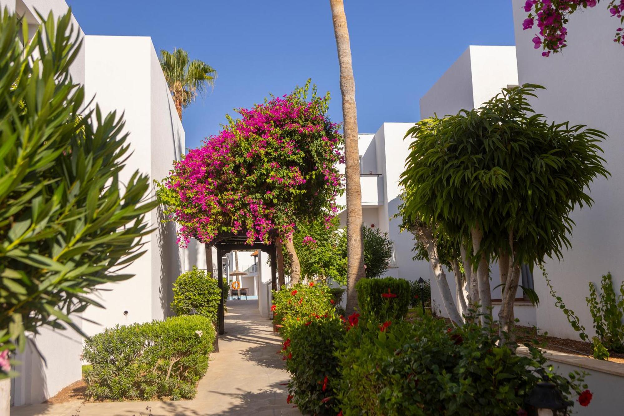 Kapetanios Aqua Resort Coral Bay Exteriör bild